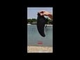 SurfTrip SUP daska na naduvavanje 305×81×15cm