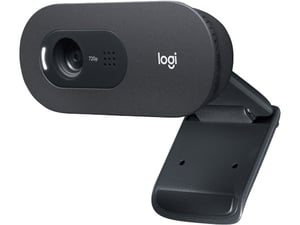 Logitech Web kamera OEM C505E Long Range HD