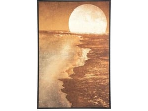 Atmosphera Slika u ramu FL Sun 60x90cm