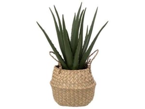 Atmosphera Dekorativna biljka Aloe Natural H37 cm