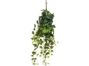 Atmosphera Dekorativna biljka Bršljen u visećoj saksiji 40x20x85