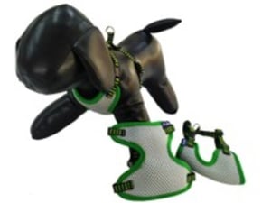 Pet line Am za pse 10mm P502XXS-10-69