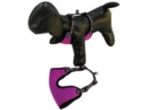 Pet line Am za pse 10mm P503S-10-73