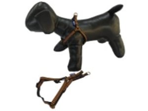 Pet line Am za pse 10mm P501XS-10-67