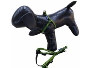 Pet line Am za pse 10mm P501XS-10-69