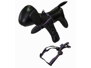 Pet line Am za pse 10mm P501XXS-10-73