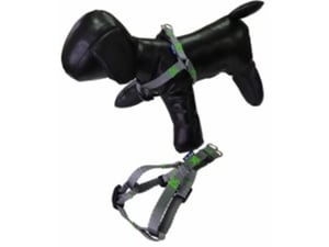 Pet line Am za pse 15mm P501XS-15-62