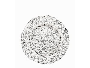 Tognana Dezertni tanjiri 6 u setu i veliki tanjir 32cm