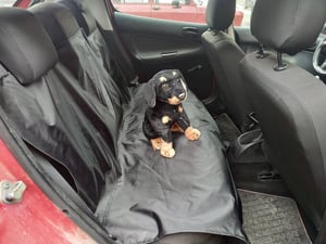 Spott Pet Zaštitni prekrivač sedišta automobila 120x140 vodoodbojni