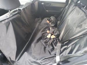 Spott Pet Zaštitni prekrivač sedišta automobila 144x160 vodoodbojni