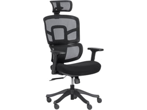 Anji Kancelarijska stolica Furniture CH Ergo Mesh