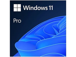 Windows Pro 11 FPP 64-bit (HAV-00164)