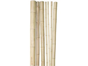 Windhager Bambus štap 180cm