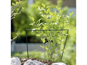 Windhager Fiksni oslonac za biljke 70x40cm