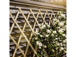 Windhager Rešetka za puzavice 60x180 pode drvena