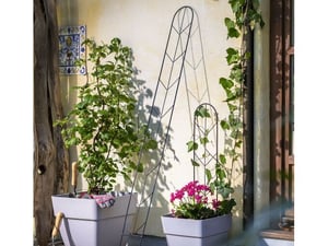 Windhager Držač za visoke biljke 85cm metalni