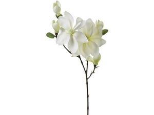 Atmosphera Dekorativni cvet magnolia 25x13x79cm