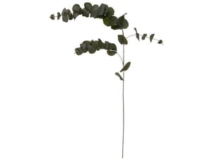 Atmosphera Eukaliptus grana 12x12x118cm