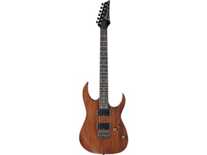 Ibanez Električna gitara RG421-MOL