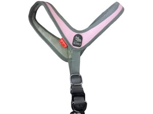 Ferribiella Am Coco Roze L