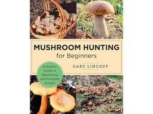 Mushroom Hunting for Beginners