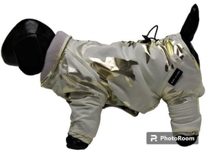 Pet line Jaknica za pse P127XS-420