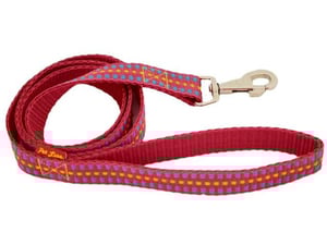 Pet line Povodac 25mm P300-25-55