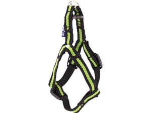 Pet line Am za pse 15mm P501S-15-68