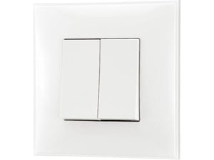 Prekidač dvopolni 481