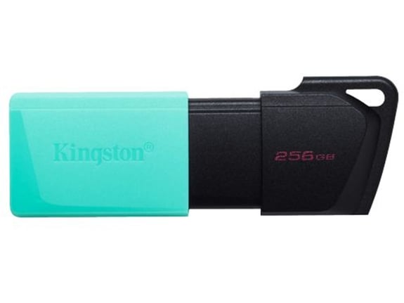 Kingston USB FD.256GB DTXM/256GB