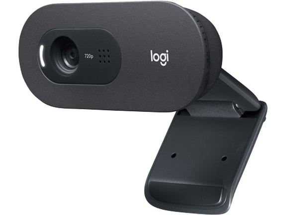 Logitech Web kamera OEM C505E Long Range HD