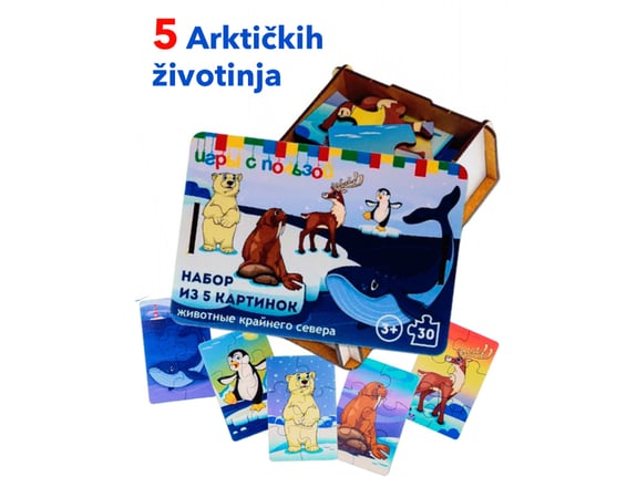 Grat Društvena igra od drveta za decu set slagalica-Puzzle Arktičke Životinje