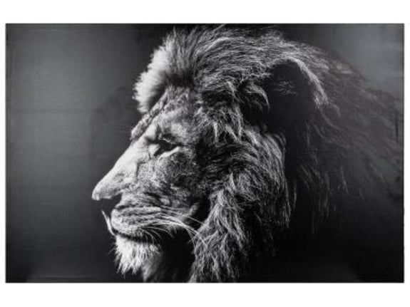 Atmosphera Slika na platnu Lion 78x118cm