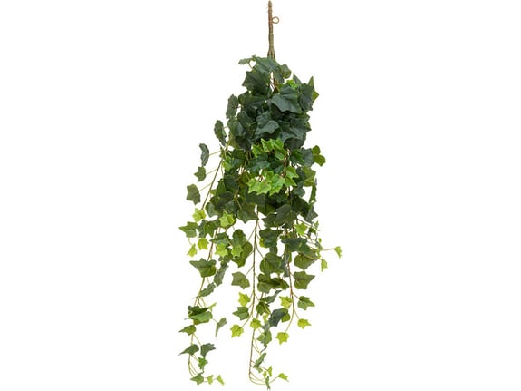 Atmosphera Dekorativna biljka Bršljen u visećoj saksiji 40x20x85