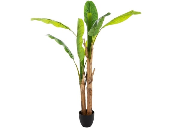 Atmosphera Dekorativna biljka Banana drvo 160cm