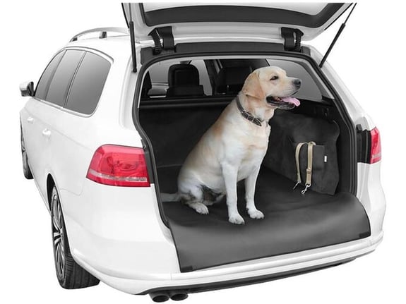 Kegel Blazusiak Zaštita za zadnji branik xxl