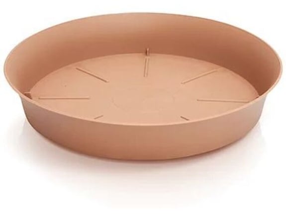 Prosperplast Podmetač Plastica 26x4cm