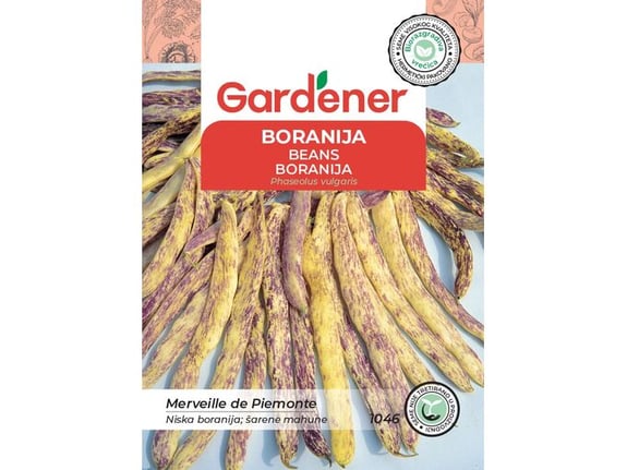 Gardener Boranija Merveille De Piemonte