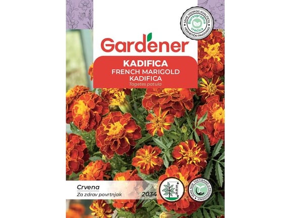 Gardener Kadifica niska,