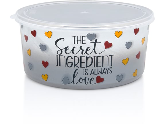 Metalac Višenamenska posuda za čuvanje hrane Tajni sastojak sa plastičnim poklopcem 20cm/2,6l