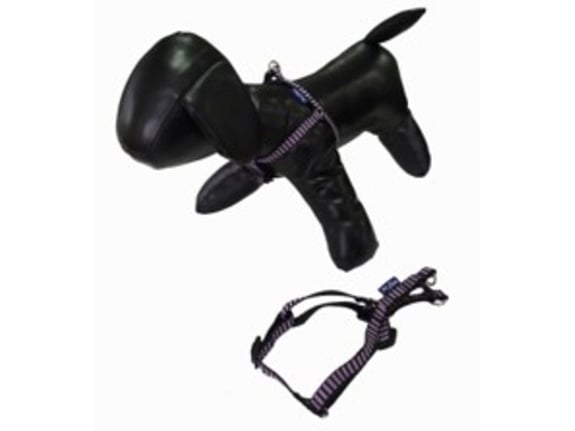 Pet line Am za pse 10mm P501XXS-10-73