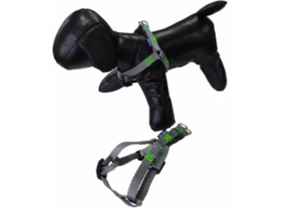 Pet line Am za pse 15mm P501XS-15-62