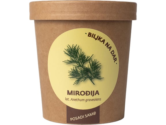 Urbana bašta Biljka na dar Mirođija