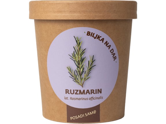 Urbana bašta Biljka na dar Ruzmarin