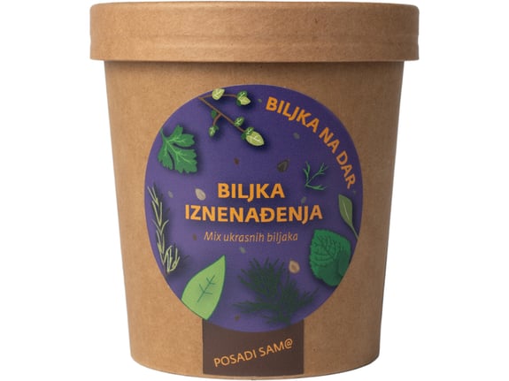 Urbana bašta Biljka na dar Miks ukrasnog bilja