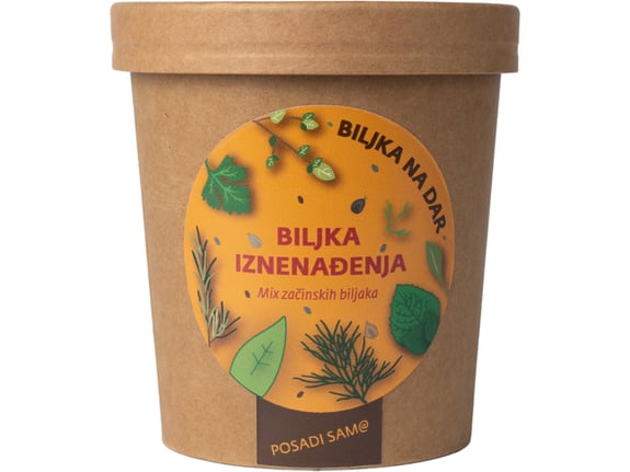 Urbana bašta Biljka na dar Miks začinskog bilja