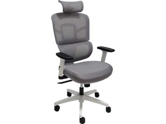 Anji Kancelarijska stolica Furniture CH Ergo Mesh