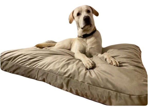 Spott Pet Dušek plišani 140x90 /25 cm