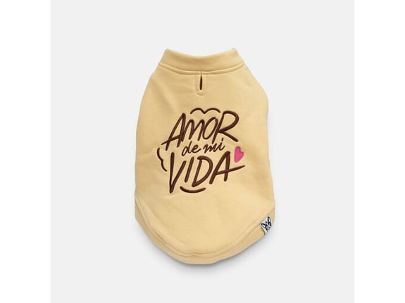 El Shapo Duks Amor de mi Vida