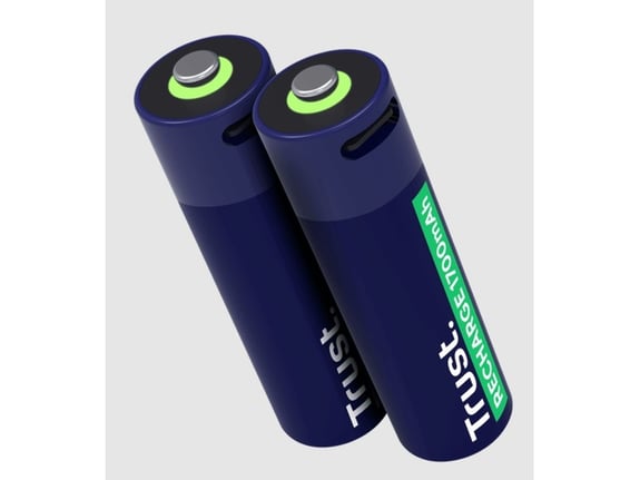 Trust Punjiva baterija USB-C 2P - AA/2 kom